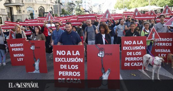 1671505211 El PSOE condena al fracaso la Ley de Bienestar Animal