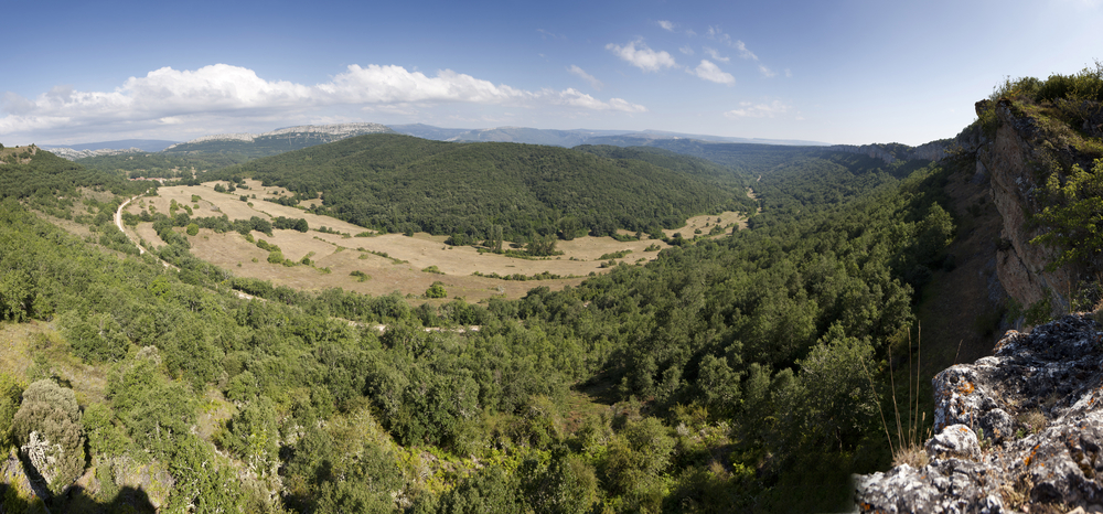 Valle de Manzanedo.