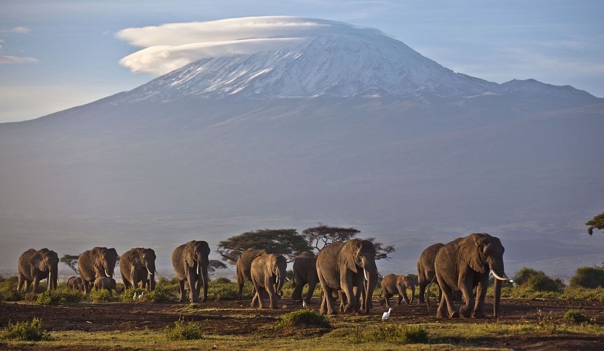 Adis a las nieves del Kilimanjaro