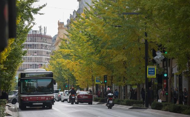 Granada es una de las ciudades donde hay menos usuarios que realizan transbordos. 