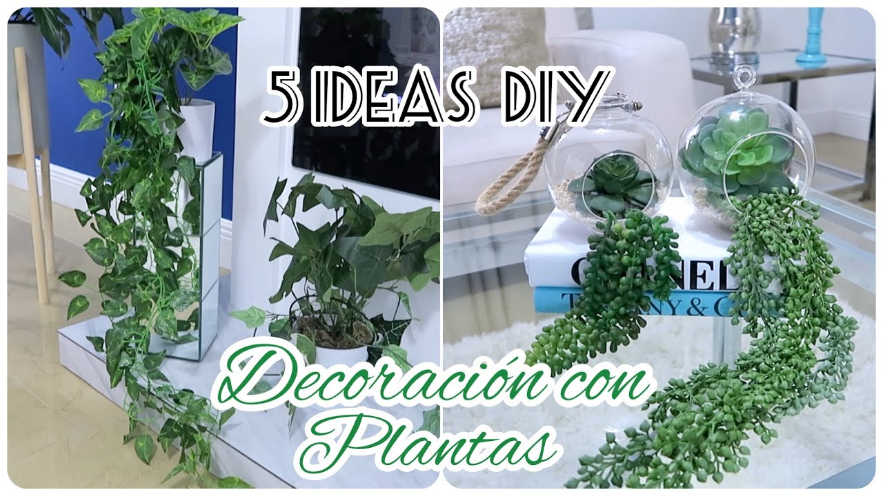 COMO DECORAR CON PLANTAS 5 DIY PARA DECORAR MACETAS decoracionesconplantas
