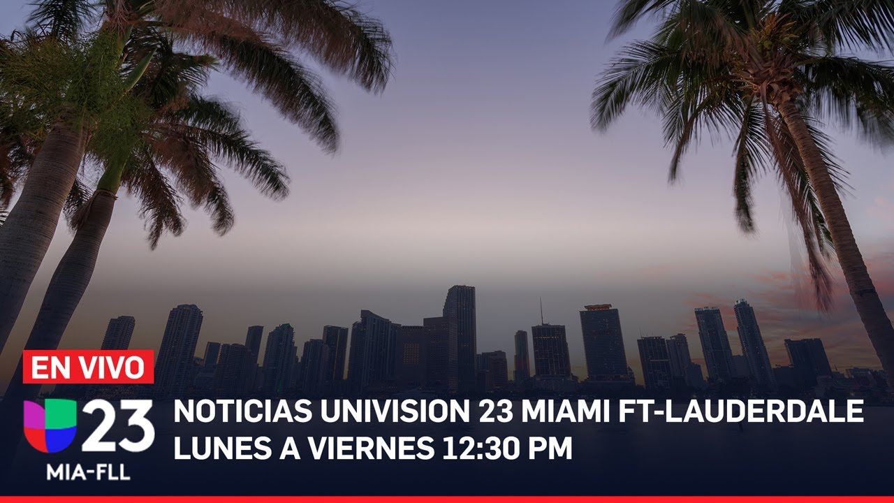 En vivo: Univision 23 Miami 12:30 PM Noviembre 1 de